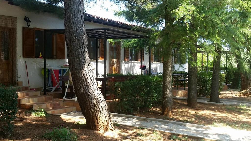 Sanja Apartments Sveti Servul Новиград Экстерьер фото